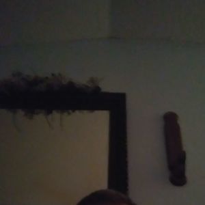 Meet your Posher, Daryl